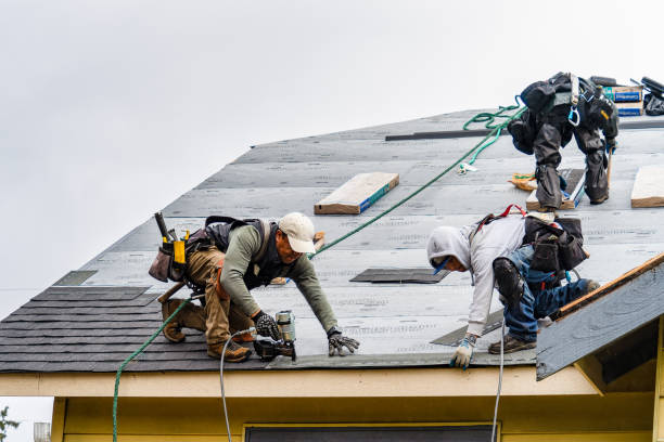 Professional Gutter Installation technician working in Roanoke, VA